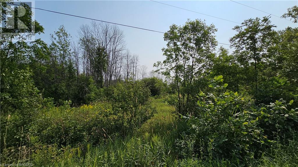 Lot 36 Bartley Drive, Miller Lake, Ontario  N0H 1Z0 - Photo 10 - 40626091