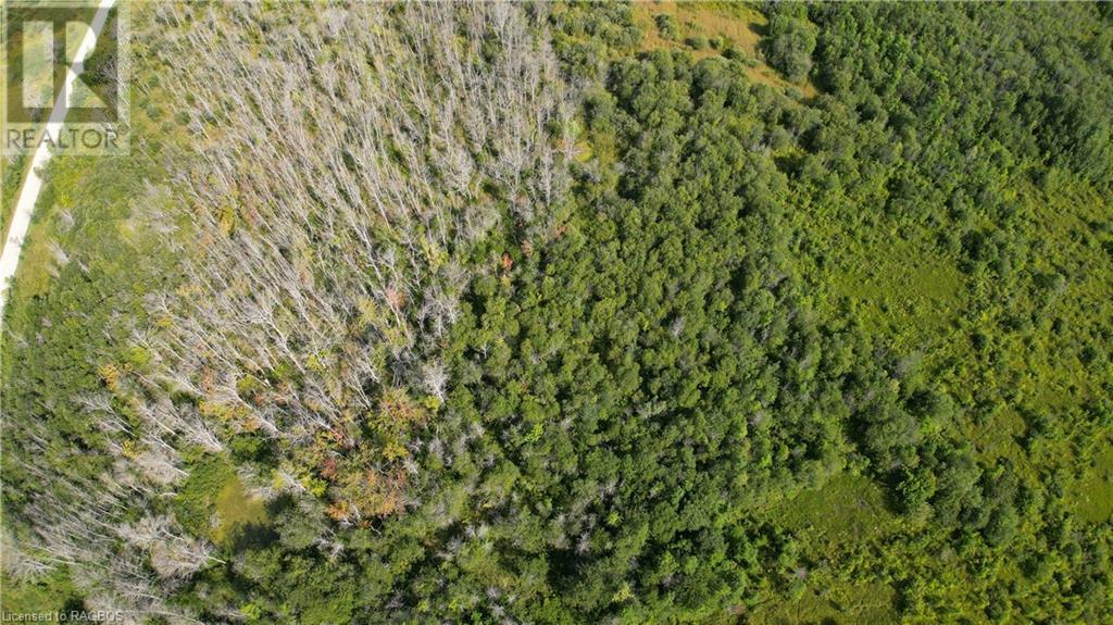 Lot 36 Bartley Drive, Miller Lake, Ontario  N0H 1Z0 - Photo 15 - 40626091