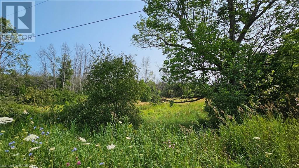 Lot 36 Bartley Drive, Miller Lake, Ontario  N0H 1Z0 - Photo 4 - 40626091