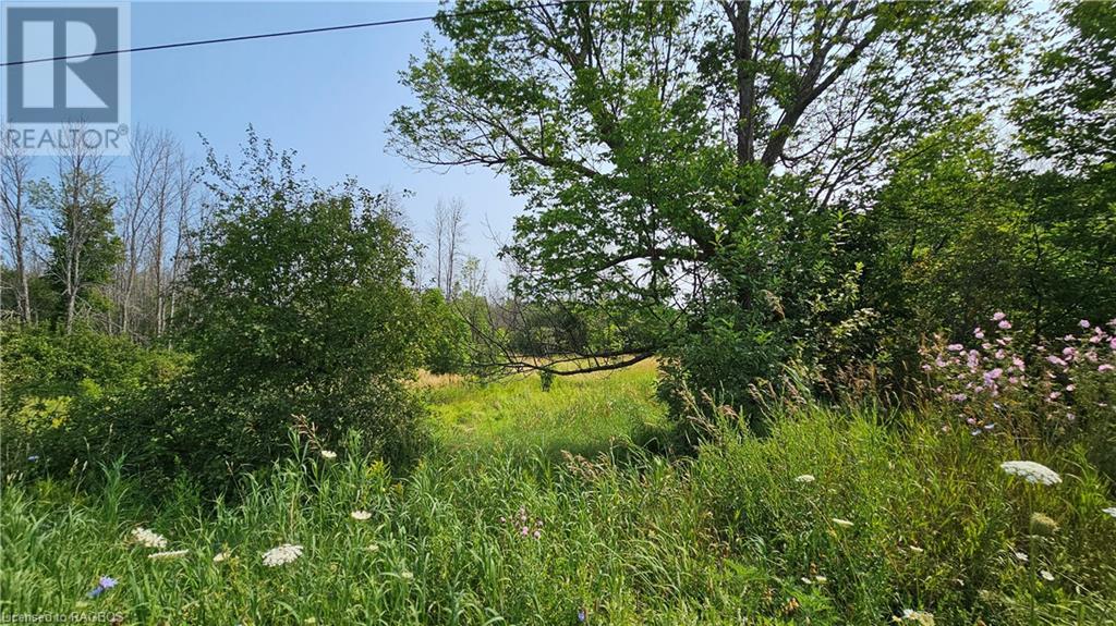 Lot 36 Bartley Drive, Miller Lake, Ontario  N0H 1Z0 - Photo 6 - 40626091