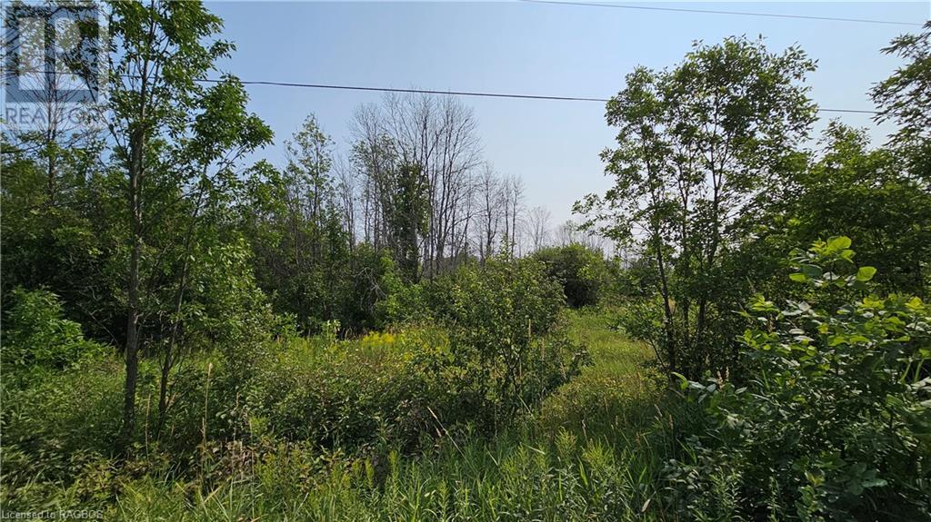 Lot 36 Bartley Drive, Miller Lake, Ontario  N0H 1Z0 - Photo 9 - 40626091
