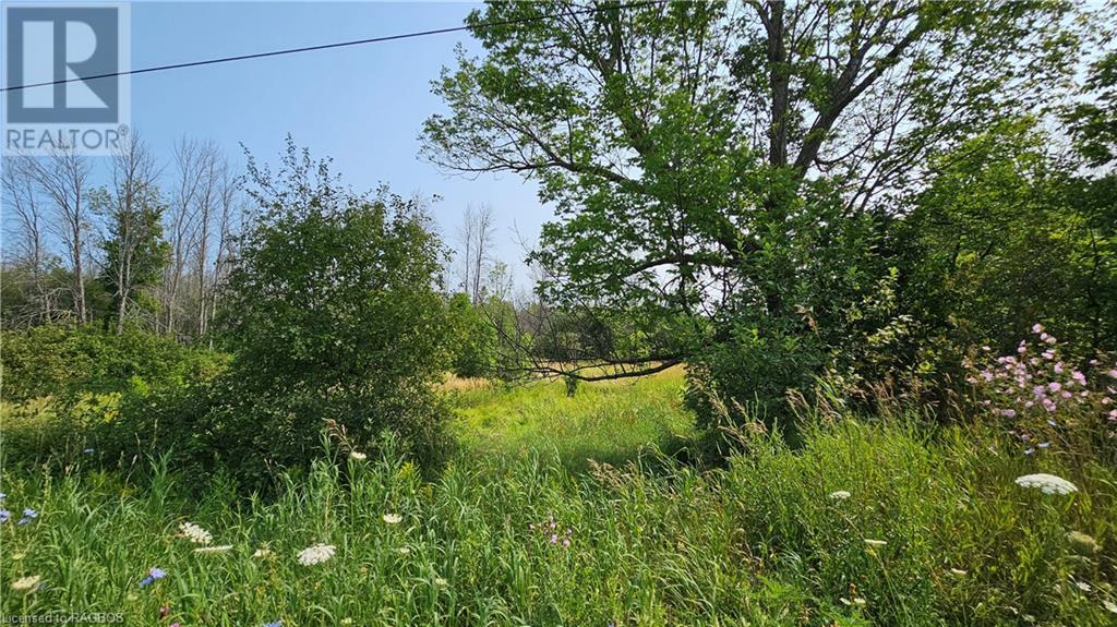 Lot 36 Bartley Drive, Miller Lake, Ontario  N0H 1Z0 - Photo 5 - 40626091