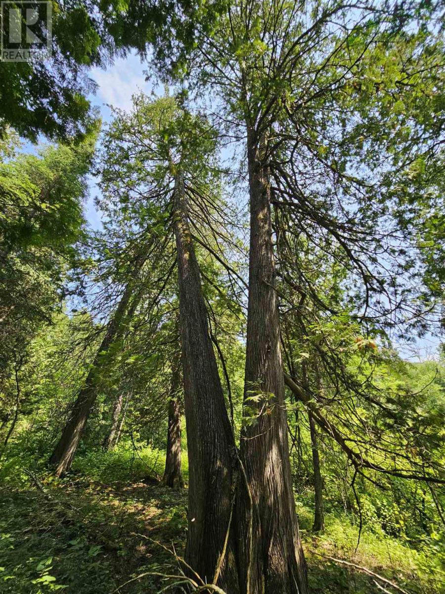 1 Snake Bay, Sioux Narrows, Ontario  P0X 1N0 - Photo 19 - TB242373