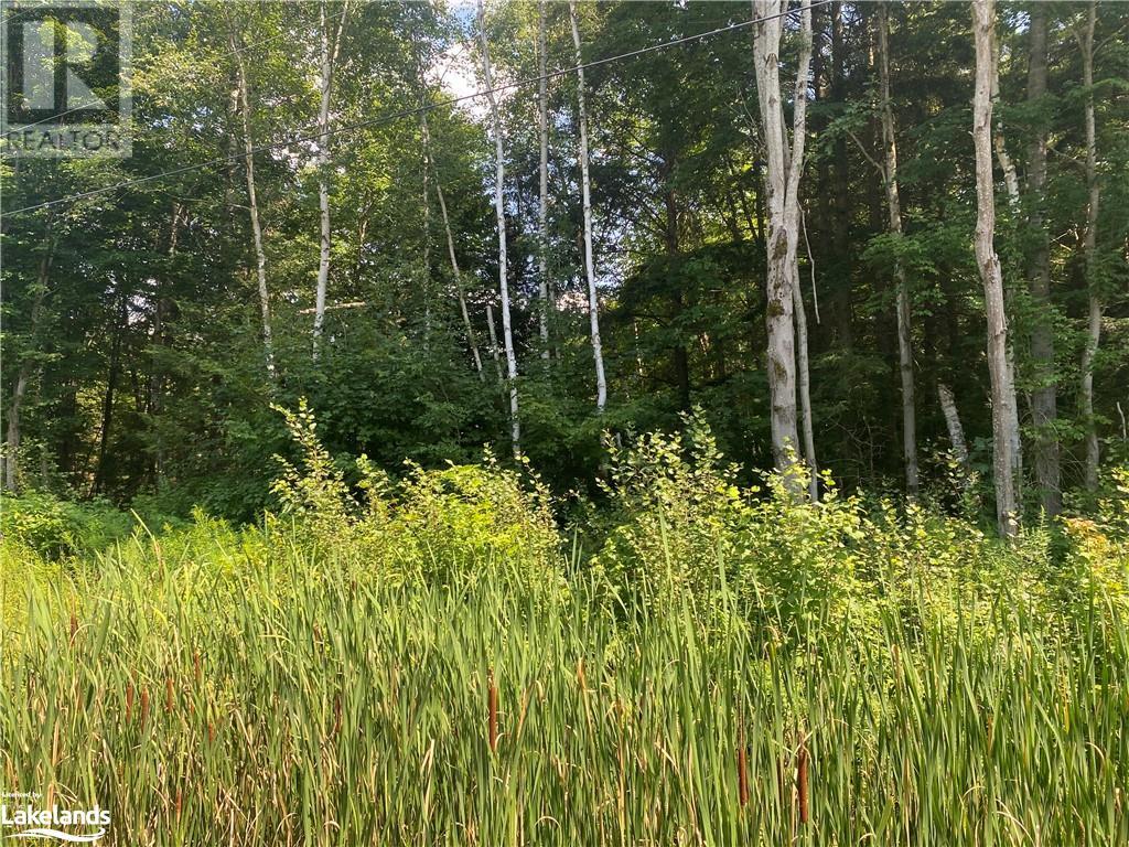 N/a 117 Highway, Lake Of Bays, Ontario  P0B 1A0 - Photo 2 - 40626939