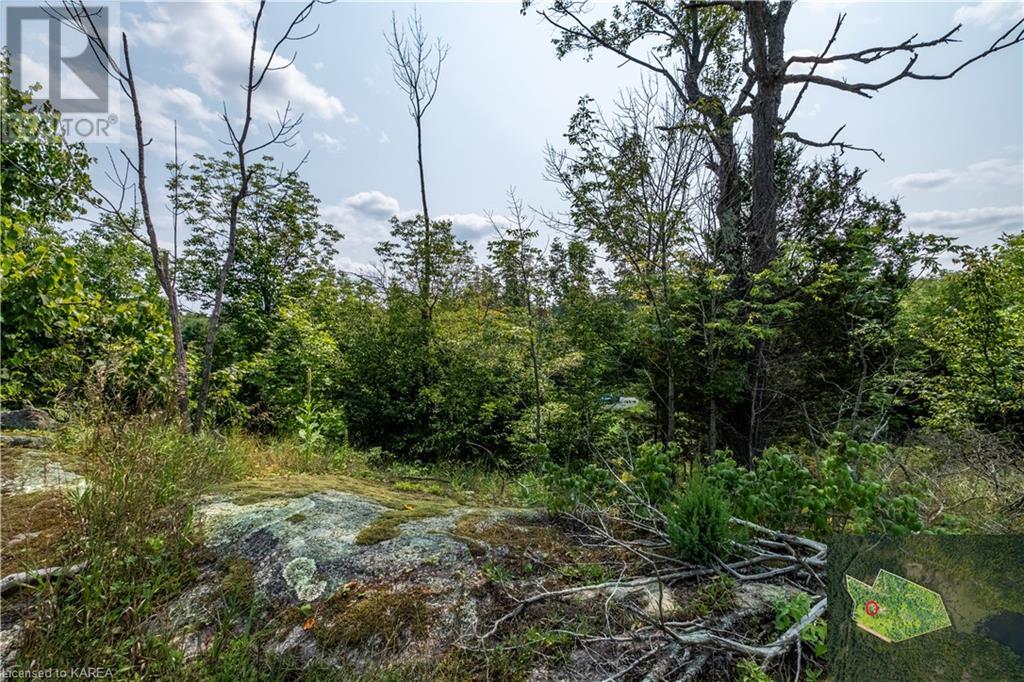 Lot 11 Ritz Road, Elgin, Ontario  K0G 1E0 - Photo 16 - 40627137