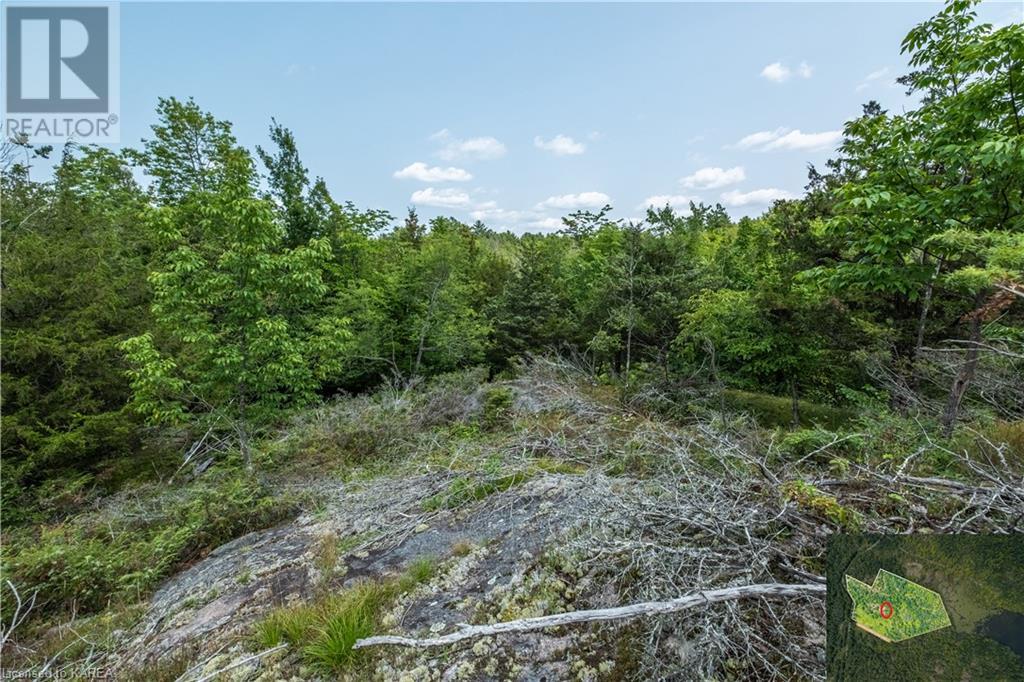 Lot 11 Ritz Road, Elgin, Ontario  K0G 1E0 - Photo 18 - 40627137