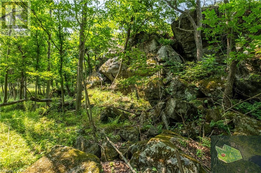 Lot 11 Ritz Road, Elgin, Ontario  K0G 1E0 - Photo 20 - 40627137