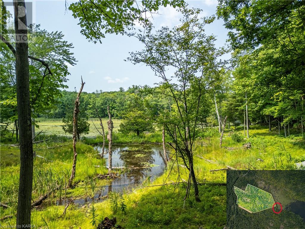 Lot 11 Ritz Road, Elgin, Ontario  K0G 1E0 - Photo 27 - 40627137