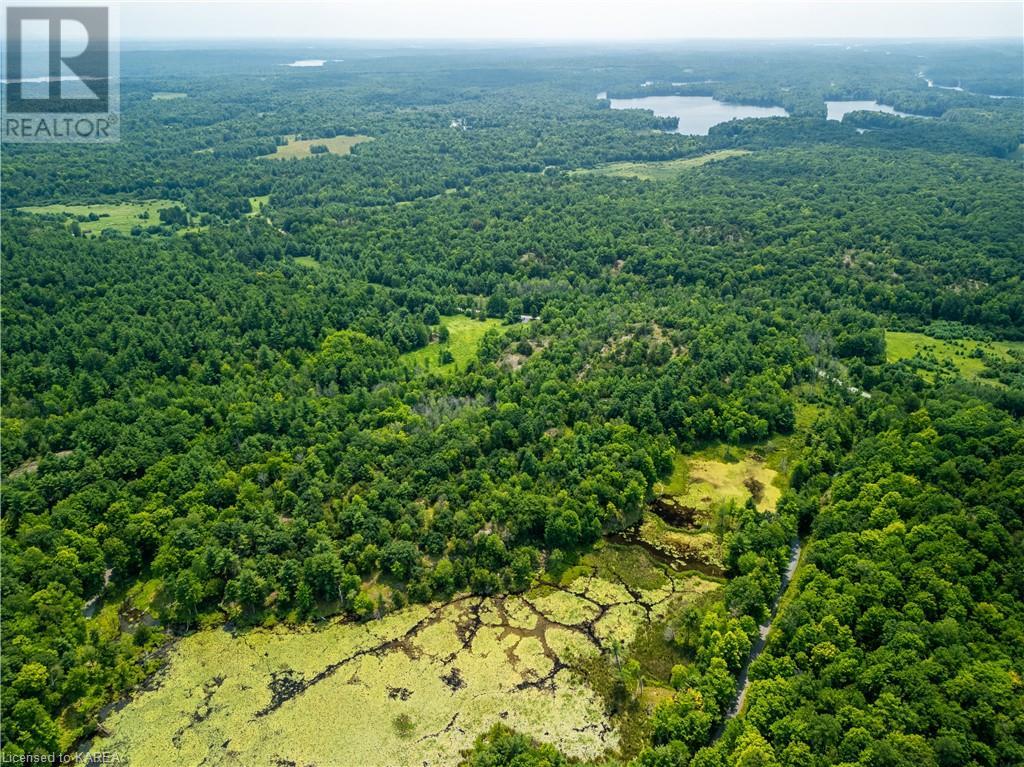 Lot 11 Ritz Road, Elgin, Ontario  K0G 1E0 - Photo 9 - 40627137