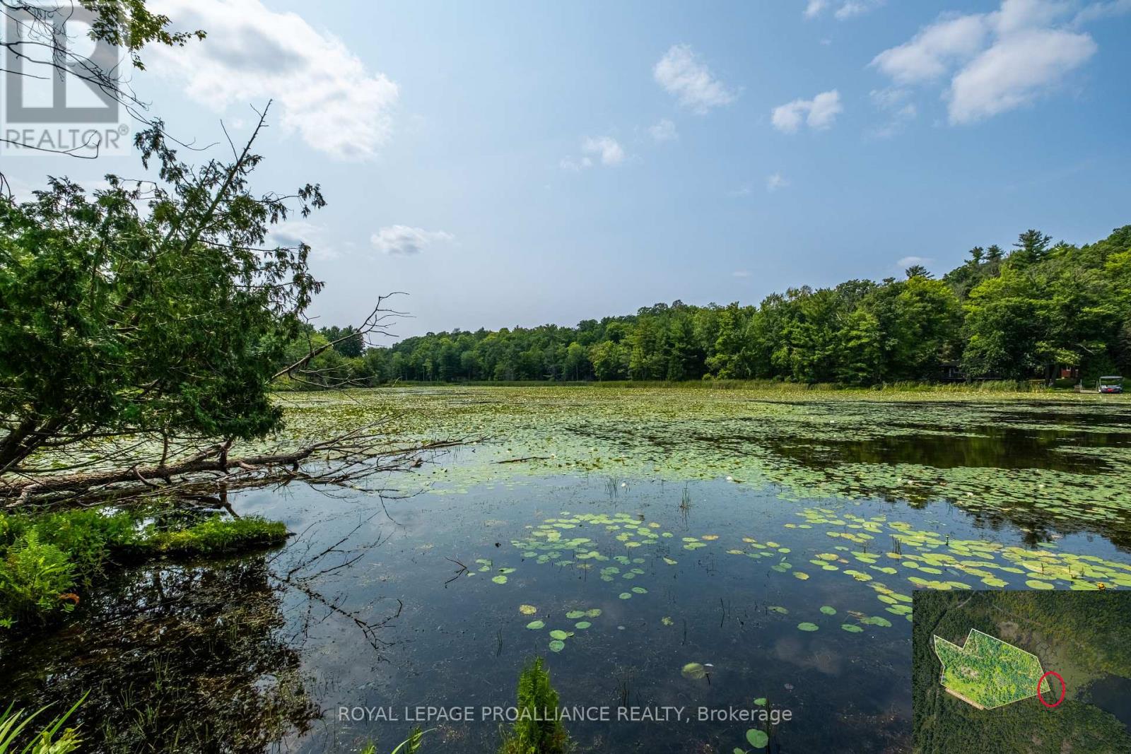 Lot 11 Ritz Road, Rideau Lakes, Ontario  K0G 1E0 - Photo 25 - X9231888