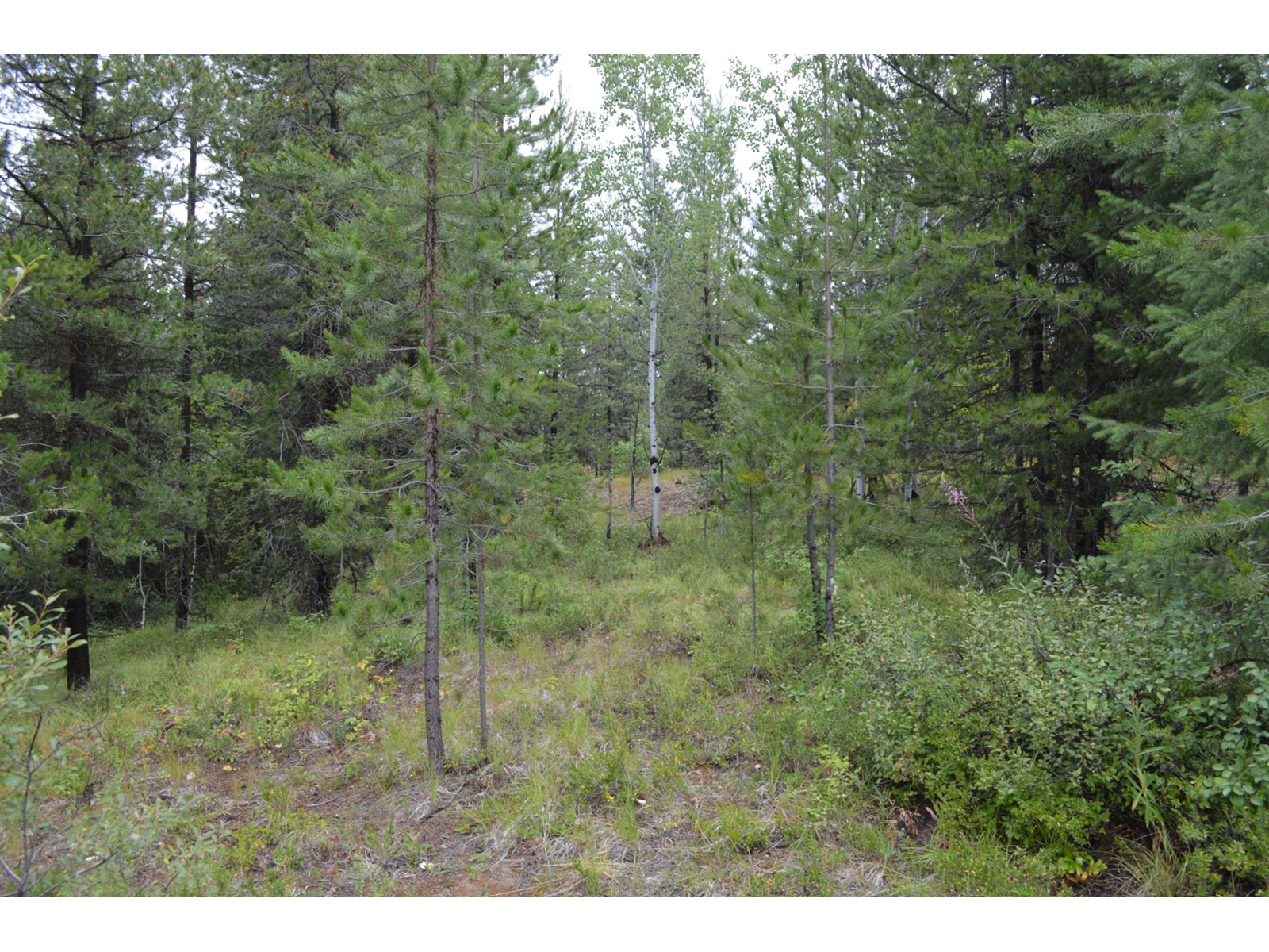 Lot 1 Highway 3, Grand Forks, British Columbia  V0H 1H5 - Photo 11 - 2478745