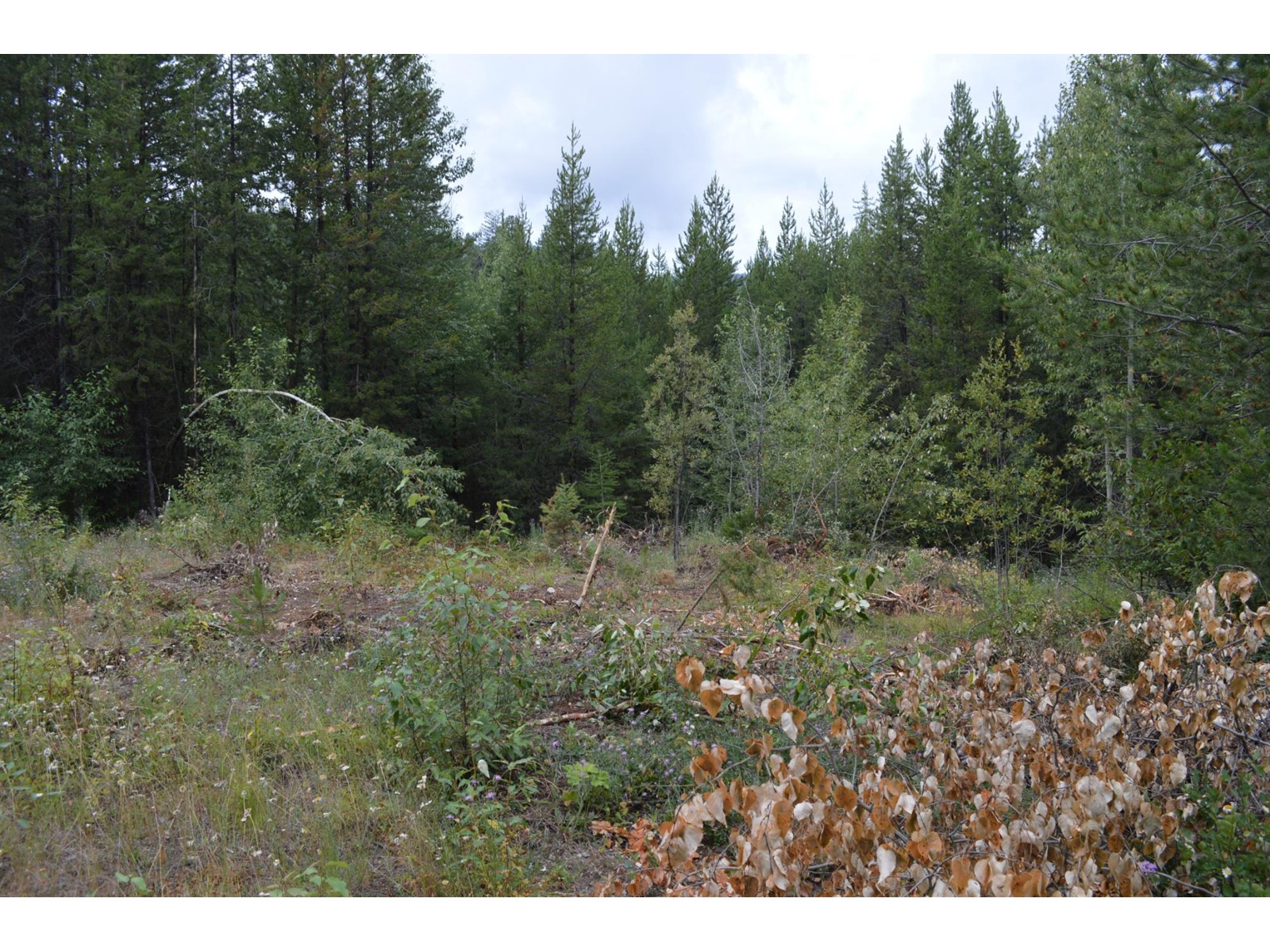 Lot 1 Highway 3, Grand Forks, British Columbia  V0H 1H5 - Photo 12 - 2478745