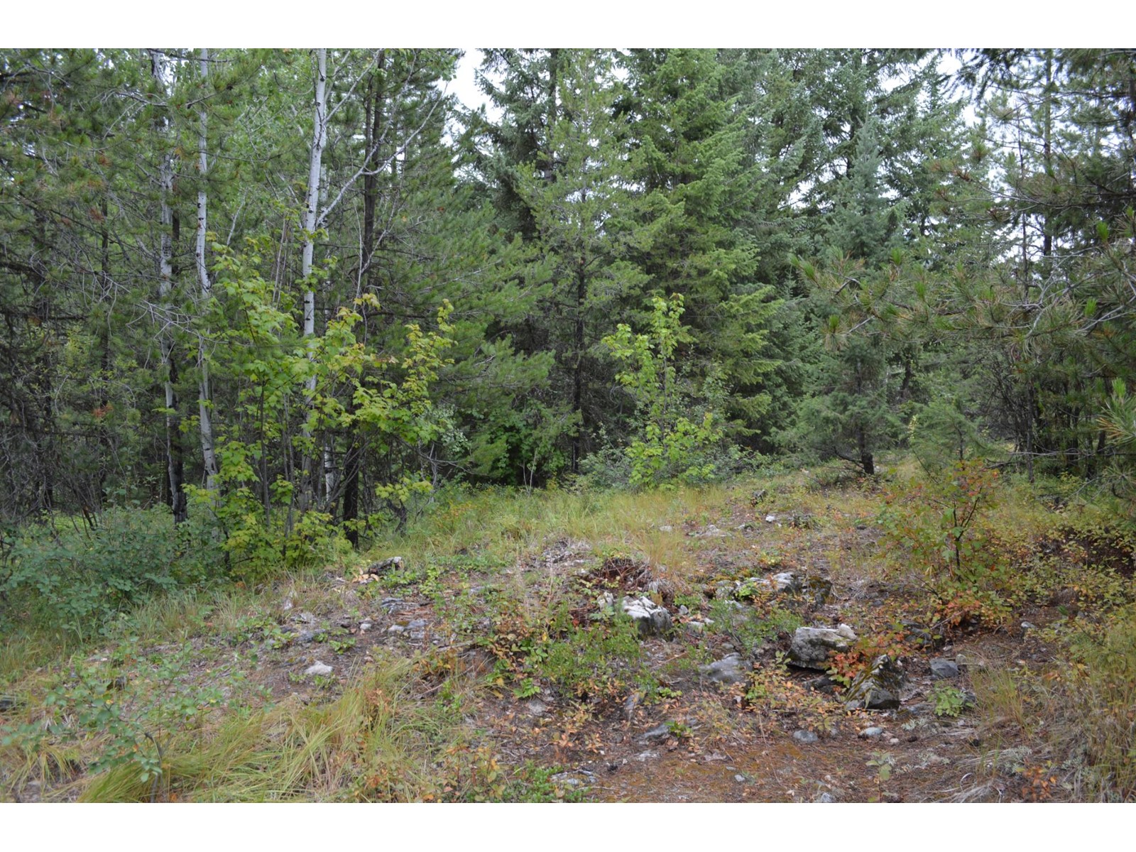 Lot 1 Highway 3, Grand Forks, British Columbia  V0H 1H5 - Photo 14 - 2478745