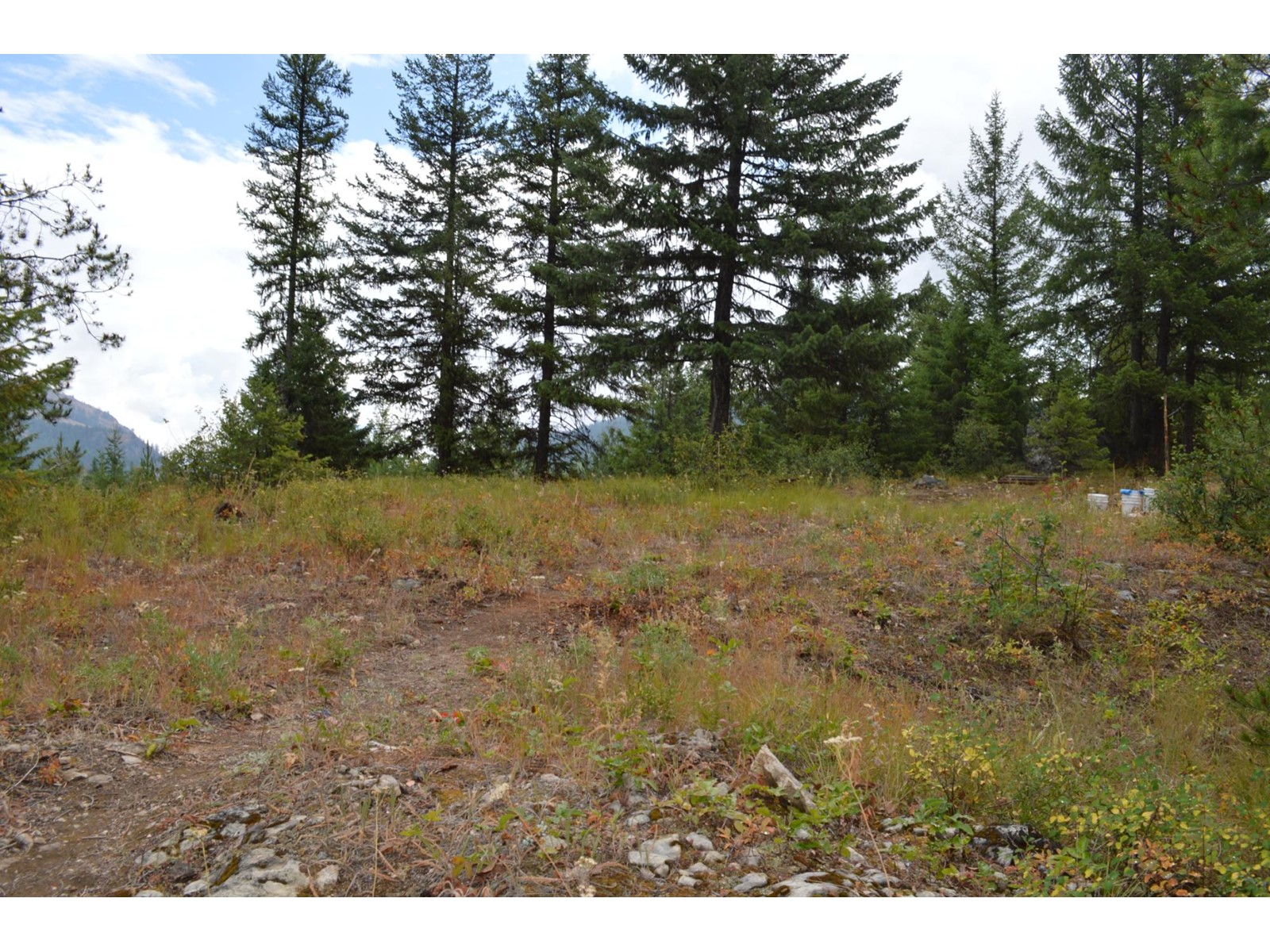 Lot 1 Highway 3, Grand Forks, British Columbia  V0H 1H5 - Photo 15 - 2478745