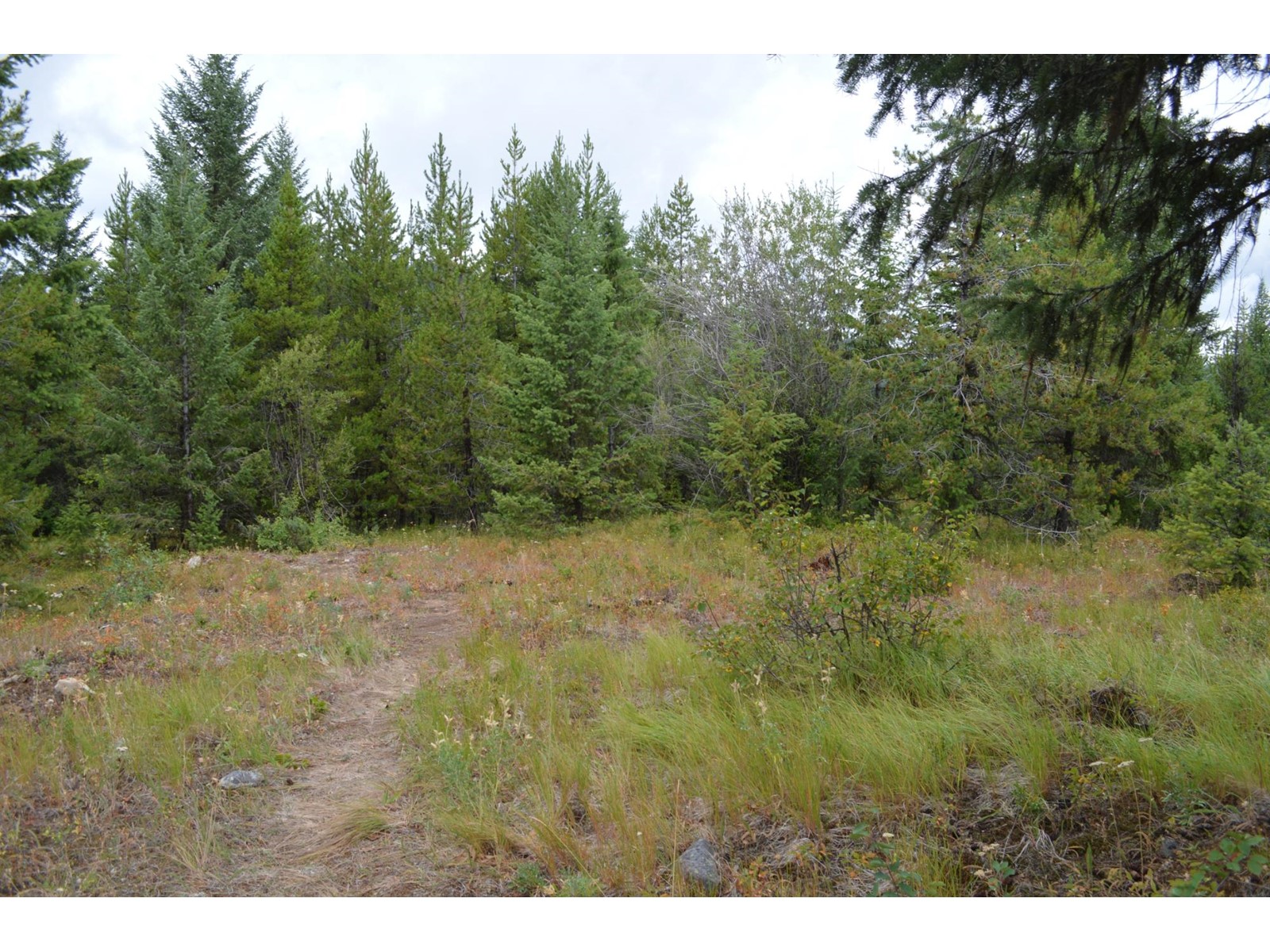 Lot 1 Highway 3, Grand Forks, British Columbia  V0H 1H5 - Photo 17 - 2478745