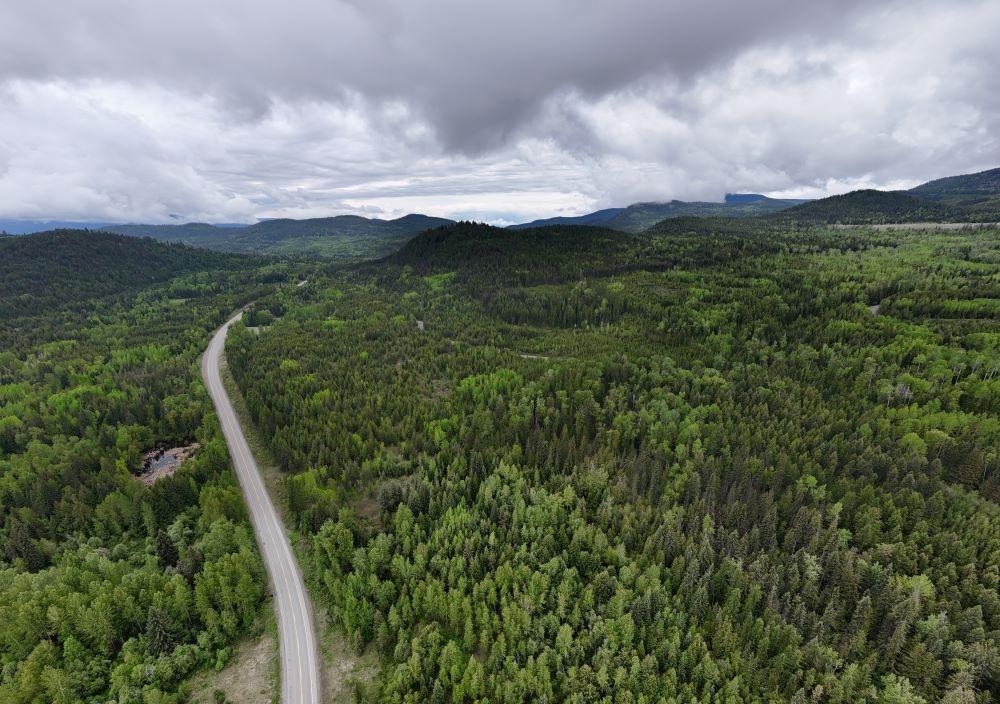 Lot 1 Highway 3, Grand Forks, British Columbia  V0H 1H5 - Photo 18 - 2478745