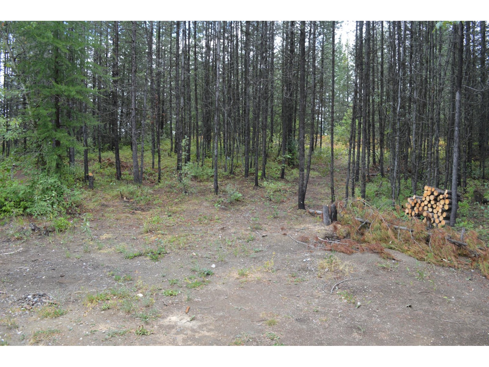Lot 1 Highway 3, Grand Forks, British Columbia  V0H 1H5 - Photo 4 - 2478745