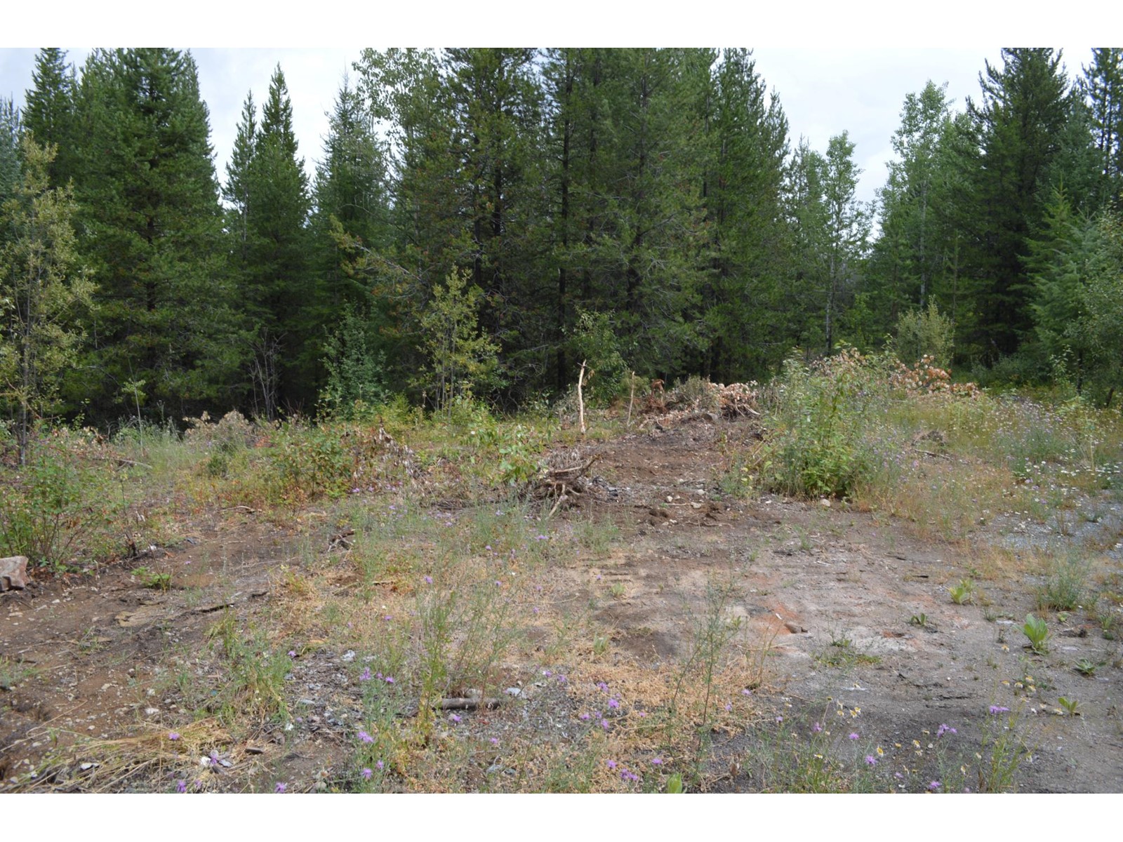 Lot 1 Highway 3, Grand Forks, British Columbia  V0H 1H5 - Photo 6 - 2478745