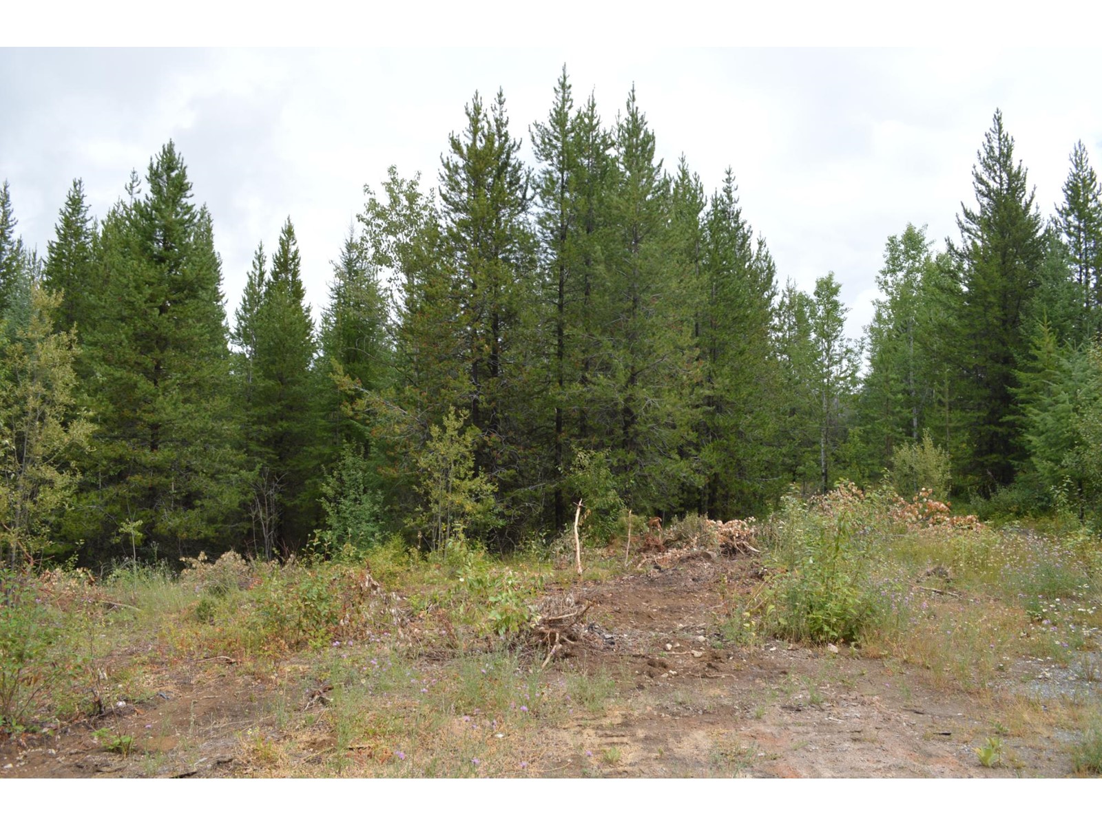 Lot 1 Highway 3, Grand Forks, British Columbia  V0H 1H5 - Photo 7 - 2478745