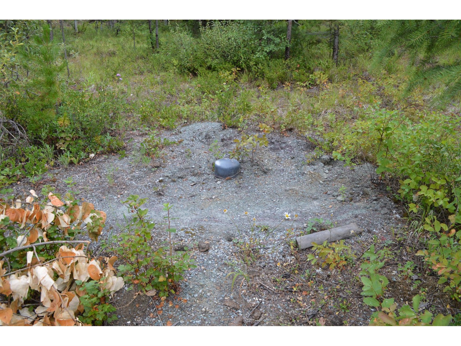 Lot 1 Highway 3, Grand Forks, British Columbia  V0H 1H5 - Photo 8 - 2478745