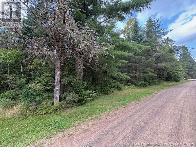 Lot 1 Adair Road, Penobsquis, New Brunswick  E4G 1Y3 - Photo 3 - NB103772