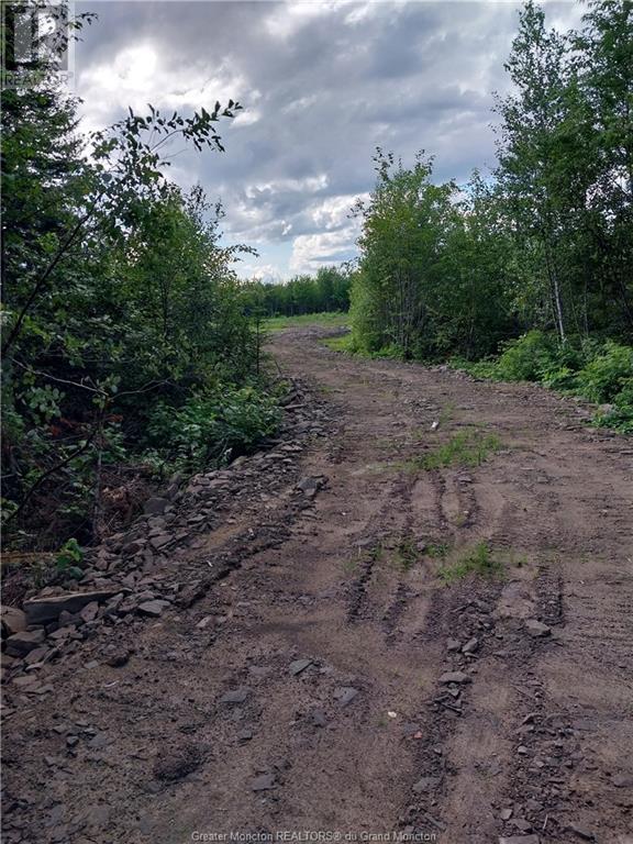 7560 Route 515, Saint-Paul, New Brunswick  E4T 3W5 - Photo 8 - M157060