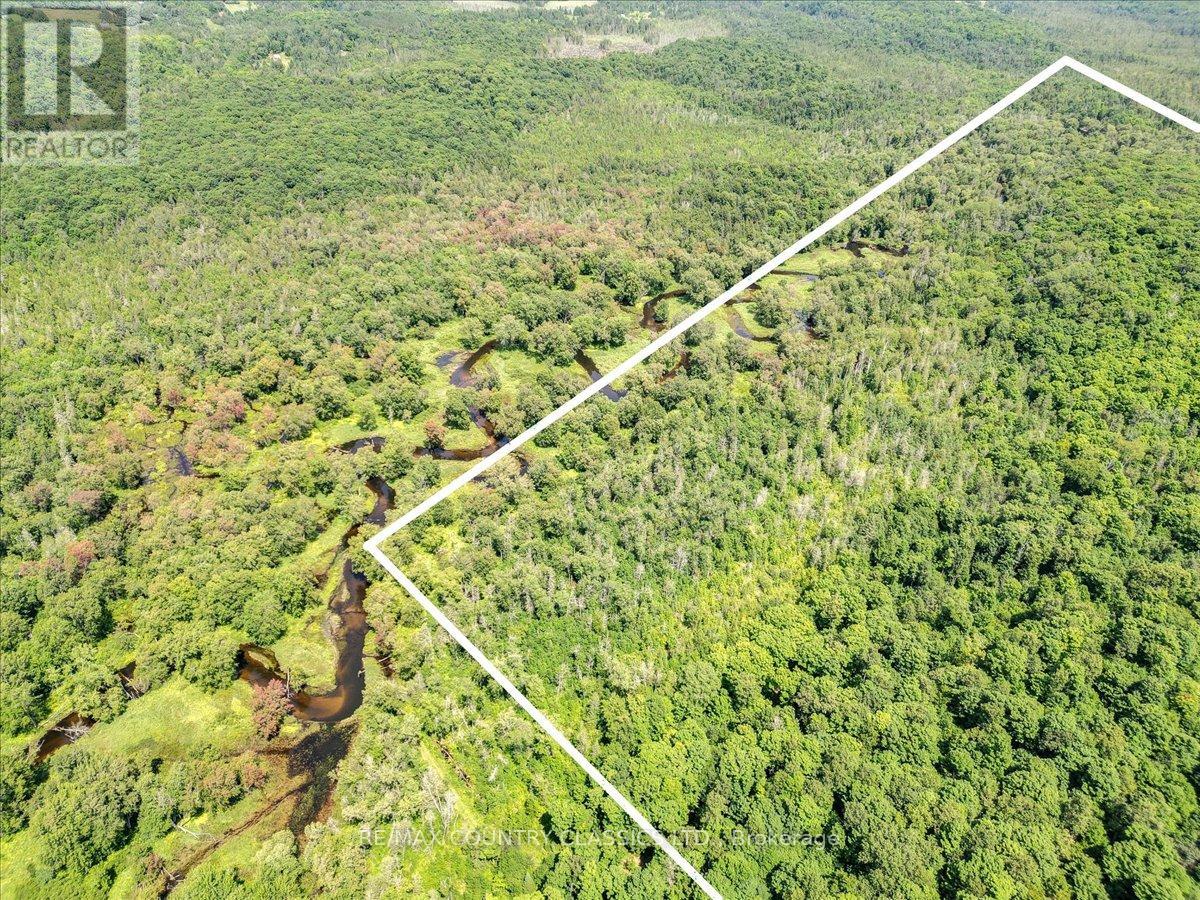 0 North Rusaw Road, North Kawartha, Ontario  K0L 1A0 - Photo 35 - X9233158