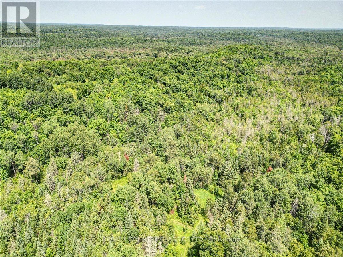 0 North Rusaw Road, North Kawartha, Ontario  K0L 1A0 - Photo 4 - X9233158