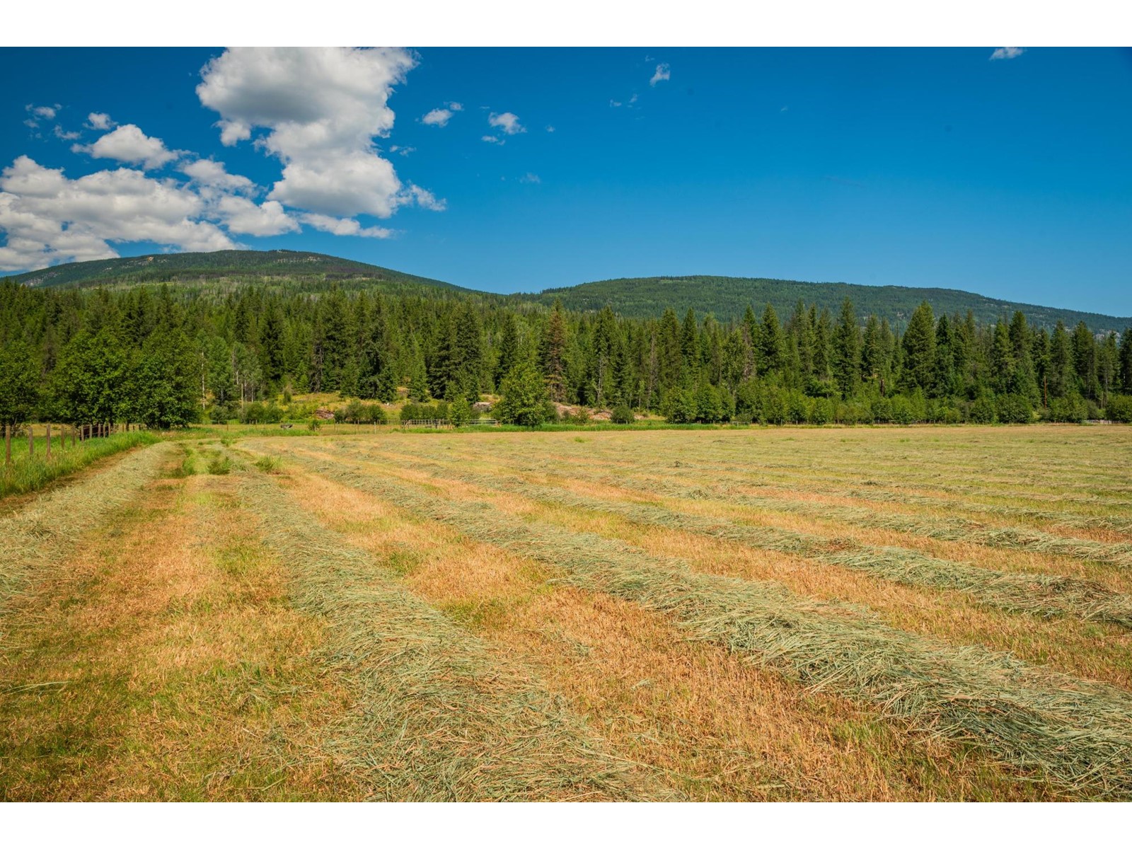 2335 Pass Creek  Road, Castlegar, British Columbia  v1n 4t4 - Photo 82 - 2478656