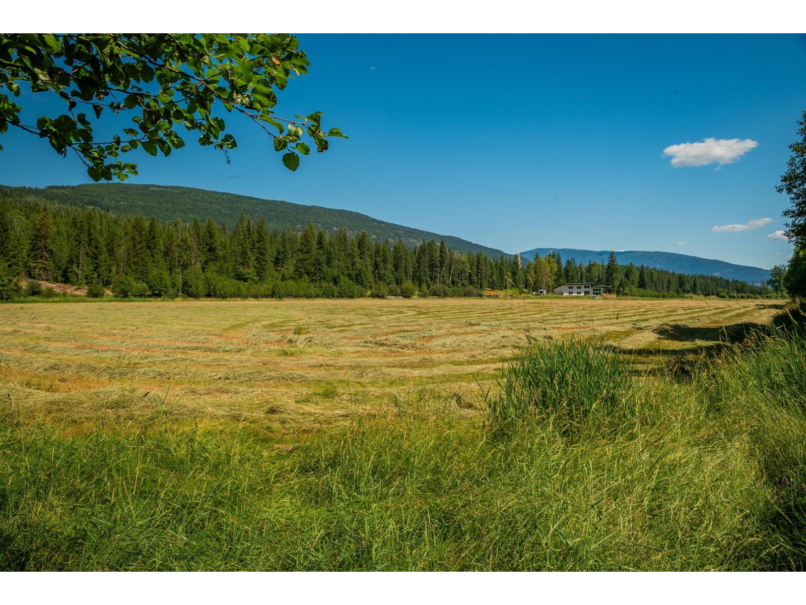 2335 Pass Creek  Road, Castlegar, British Columbia  v1n 4t4 - Photo 98 - 2478656