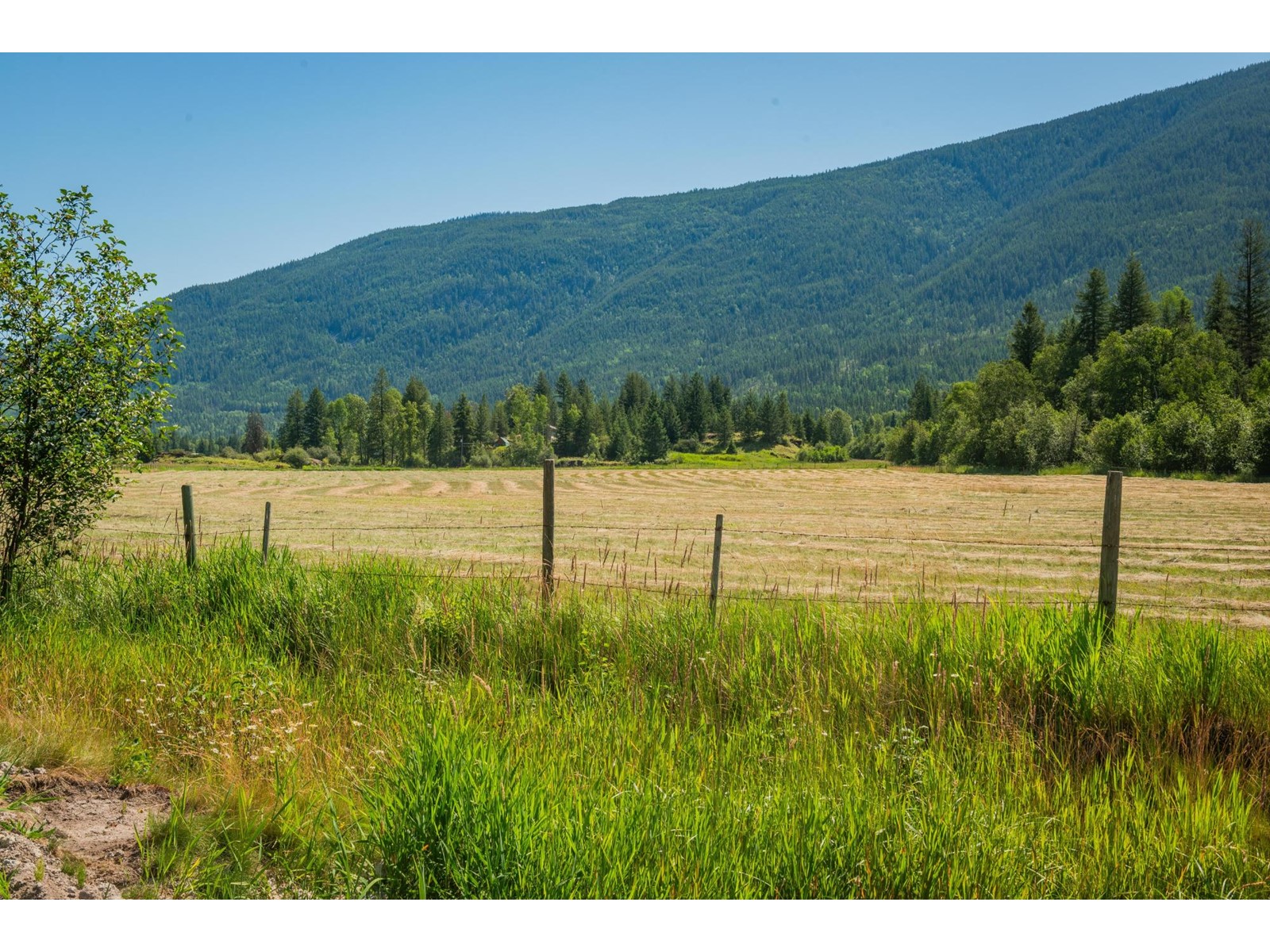 2335 Pass Creek  Road, Castlegar, British Columbia  v1n 4t4 - Photo 92 - 2478656