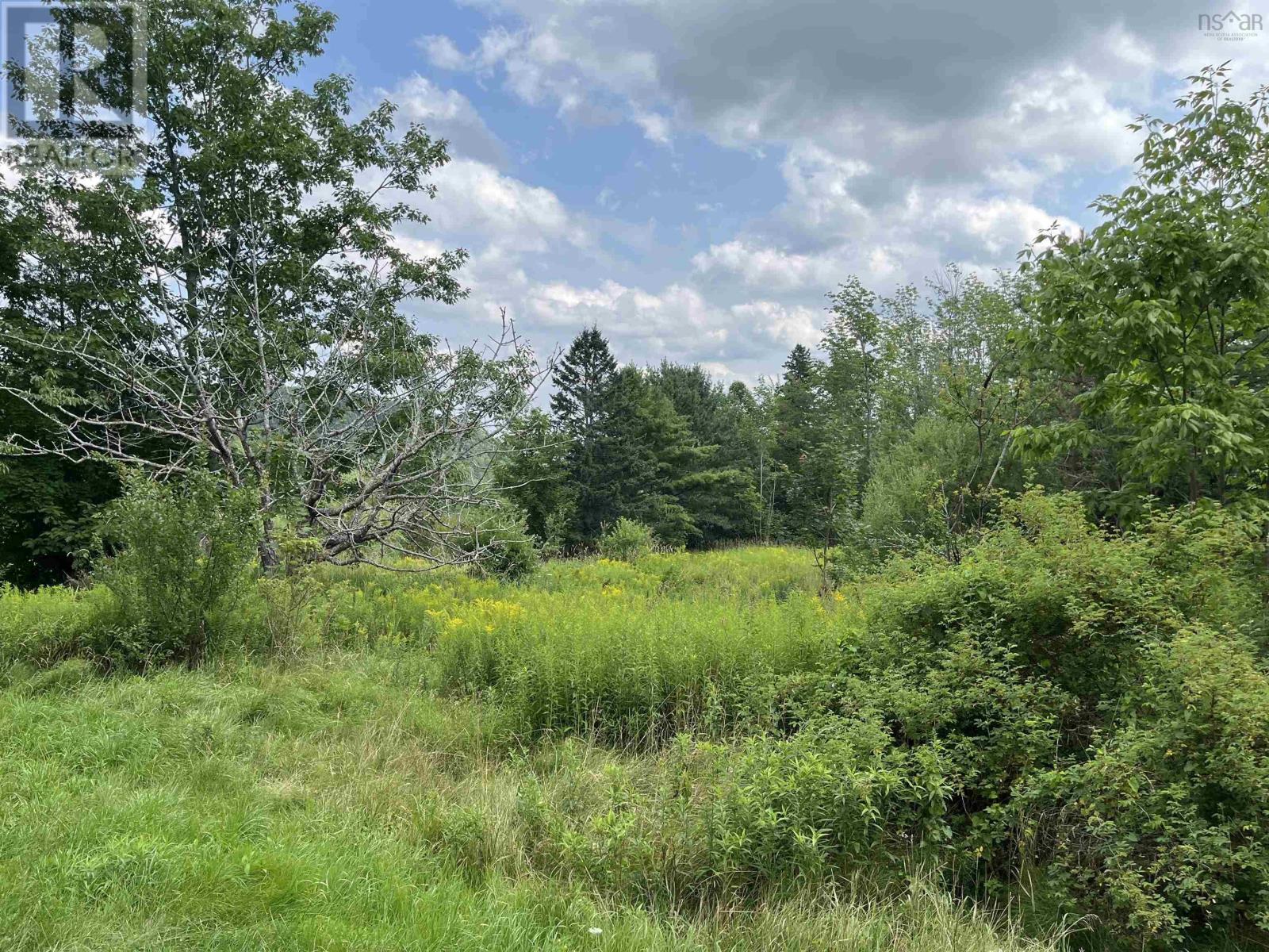 1679 Mount Hanley Road, Mount Hanley, Nova Scotia  B0S 1P0 - Photo 6 - 202418319