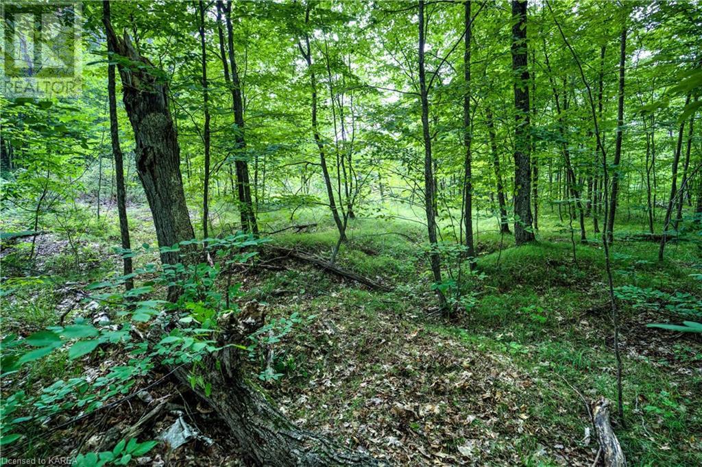 572 Oak Bluffs Road, Maberly, Ontario  K0H 2B0 - Photo 20 - 40627633