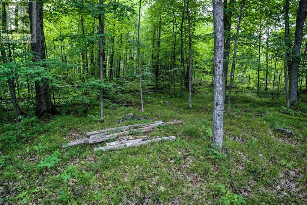 572 Oak Bluffs Road, Maberly, Ontario  K0H 2B0 - Photo 21 - 40627633