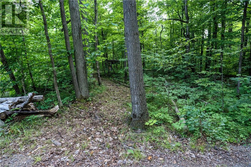 572 Oak Bluffs Road, Maberly, Ontario  K0H 2B0 - Photo 22 - 40627633