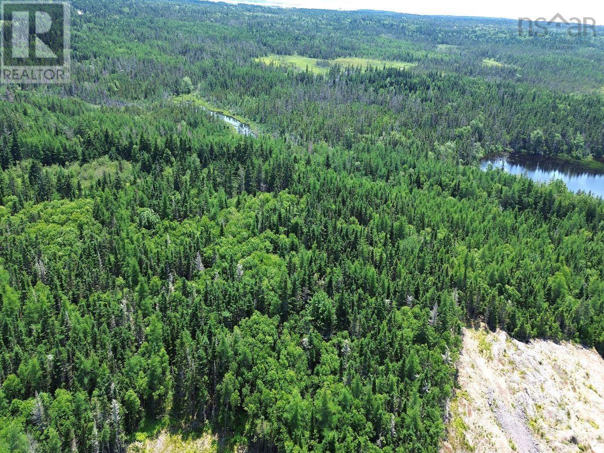 Lorem Ipsum Dolo, Arichat, Nova Scotia  B0E  - Photo 13 - DEMO27238365