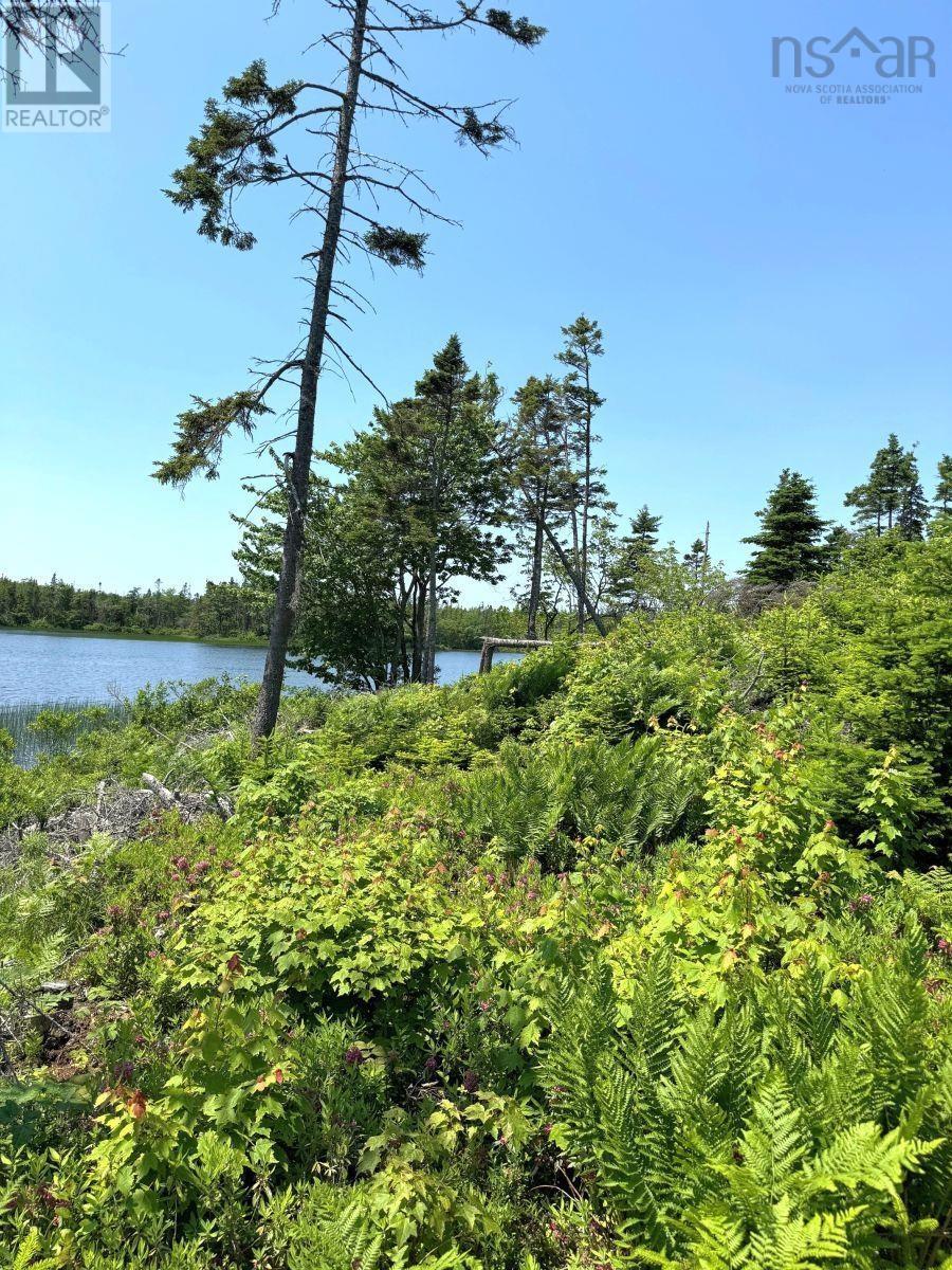 Lorem Ipsum Dolo, Arichat, Nova Scotia  B0E  - Photo 5 - DEMO27238365