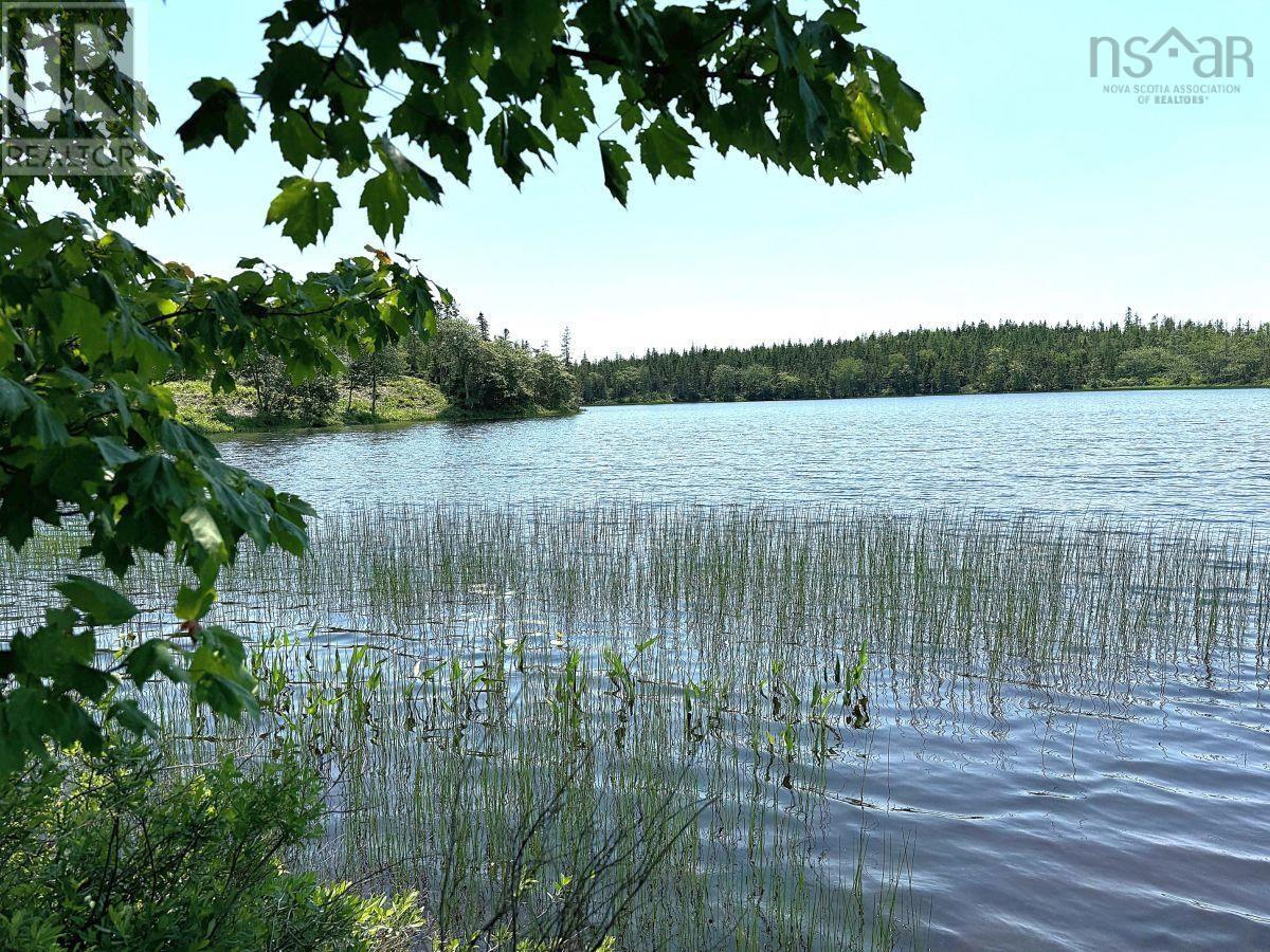 Lorem Ipsum Dolo, Arichat, Nova Scotia  B0E  - Photo 7 - DEMO27238365