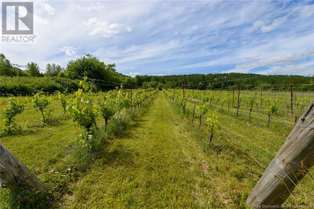 1826 124 Route, Springfield, New Brunswick  E5T 2K2 - Photo 49 - NB103203