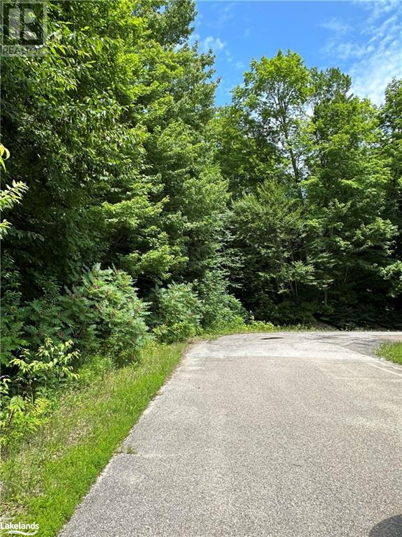 Lot 16 Remi Road, Tiny, Ontario  L9M 0M7 - Photo 4 - 40628035