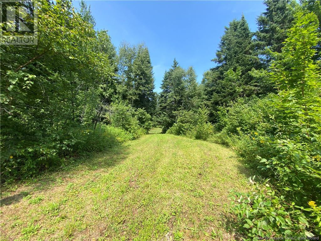 Land Archibald Road, Belledune, New Brunswick  E8G 1W5 - Photo 2 - NB103752