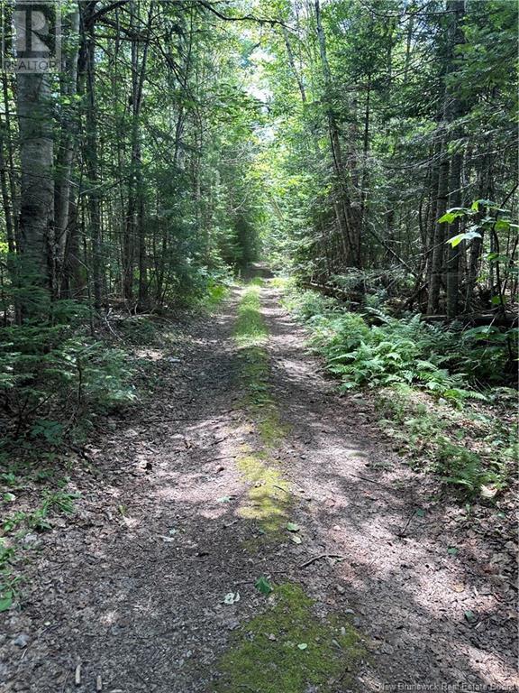 Lot Charters Settlement Road, Charters Settlement, New Brunswick  E3C 1Y4 - Photo 2 - NB103548