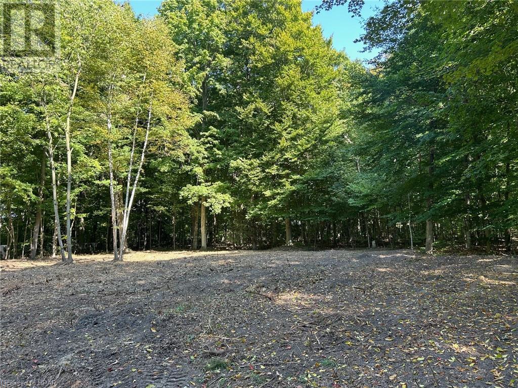 77347 Forest Ridge Road, Central Huron, Ontario  N0M 1G0 - Photo 2 - 40625407