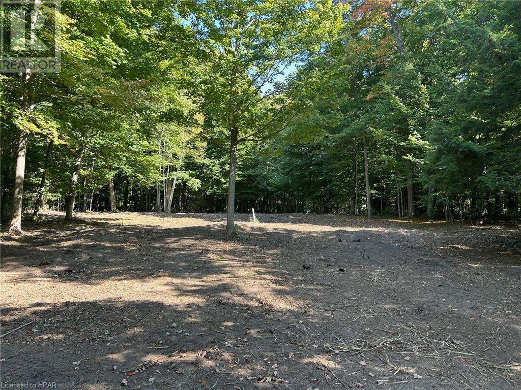 77347 Forest Ridge Road, Central Huron, Ontario  N0M 1G0 - Photo 4 - 40625407