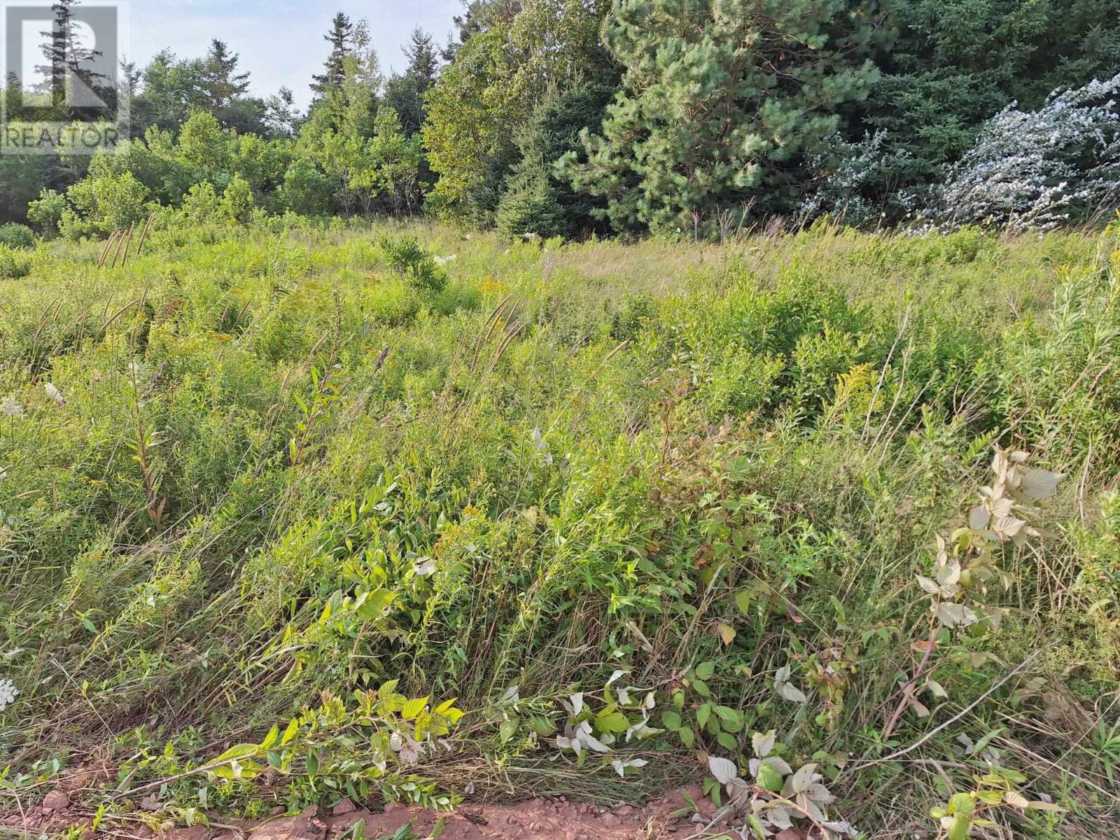 Lorem Ipsum Dolor Sit, North Rustico, Prince Edward Island  C0A  - Photo 6 - DEMO27230841