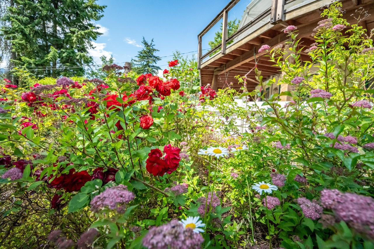 7815 Highway 3a, Balfour, British Columbia  V0G 1C0 - Photo 62 - 2478739