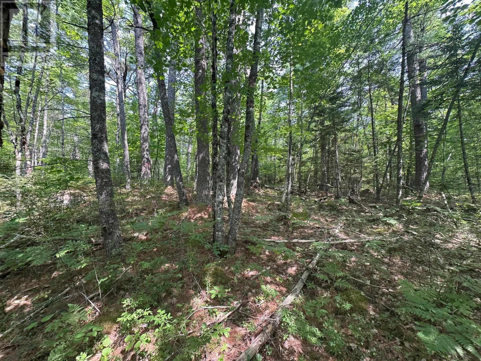 Lot 7 Domino Drive, Westfield, Nova Scotia  B0T 1B0 - Photo 10 - 202418447