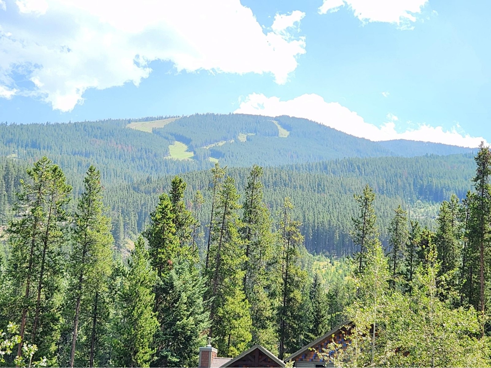 1745 Greywolf Drive, Panorama, British Columbia  V0A 1T0 - Photo 10 - 2478774