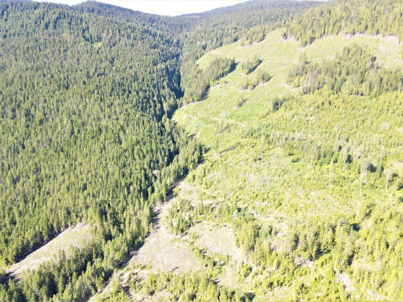 Lot 2 Highway 6, Nelson, British Columbia  V1L 5P3 - Photo 10 - 2478778