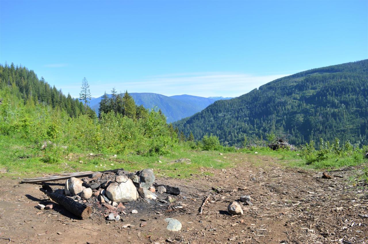 Lot 2 Highway 6, Nelson, British Columbia  V1L 5P3 - Photo 12 - 2478778